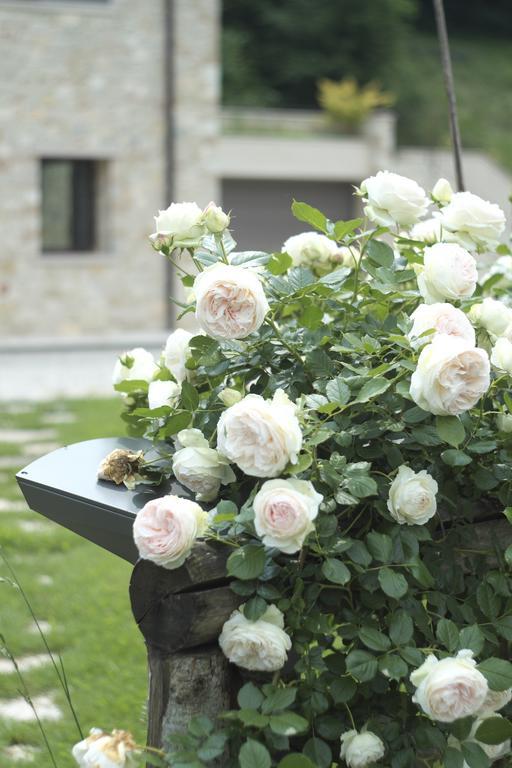 Agriturismo Casamela Paderno del Grappa Ngoại thất bức ảnh